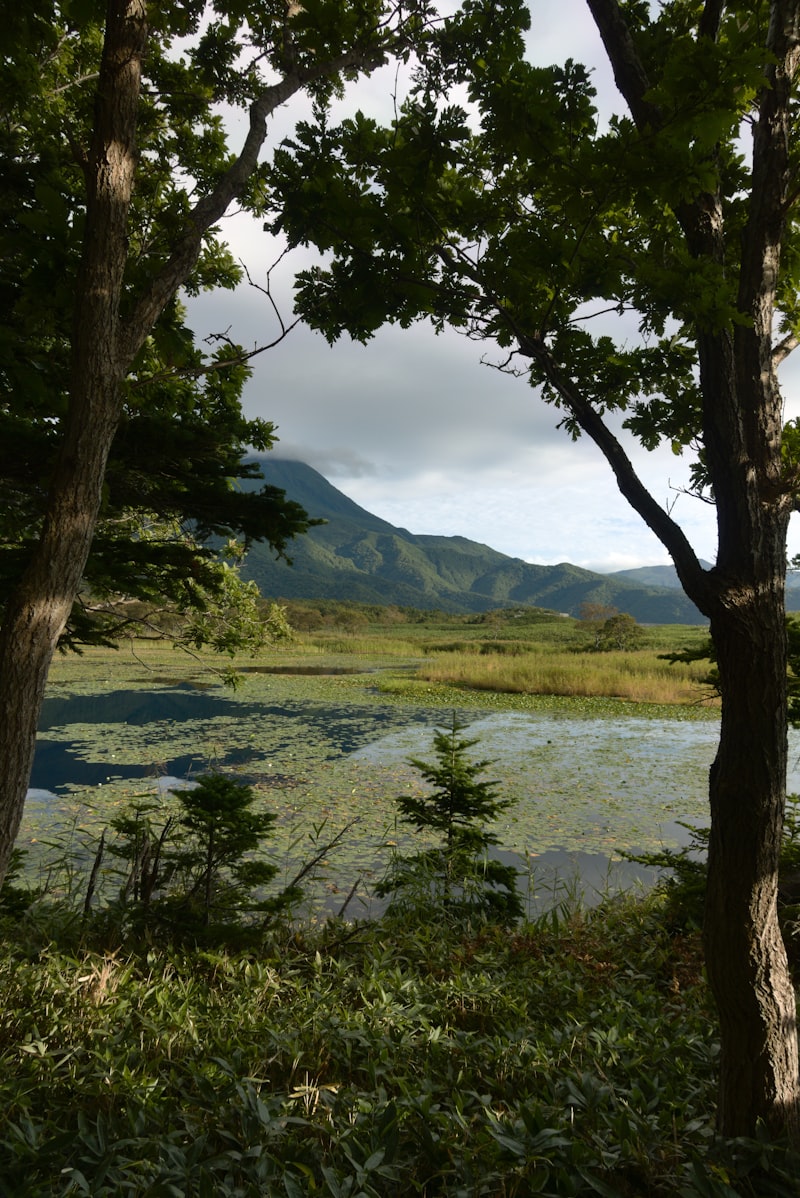 知床半島でのキャンプ